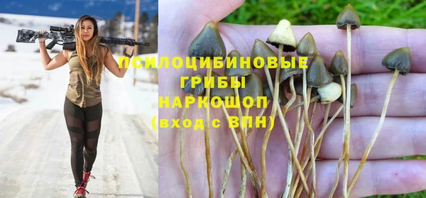 МДПВ Нея