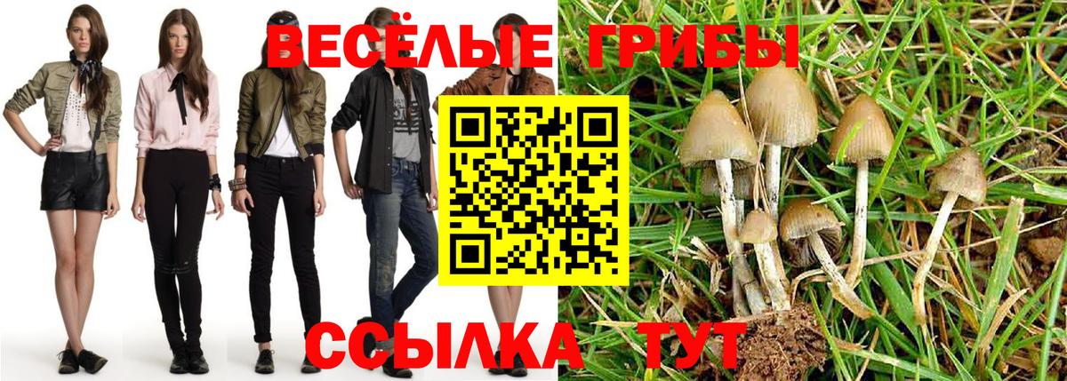 Петропавловск-Камчатский  Галлюциногенные грибы прущие грибы  Вход с VPN  Псилоцибиновые грибы мицелий 