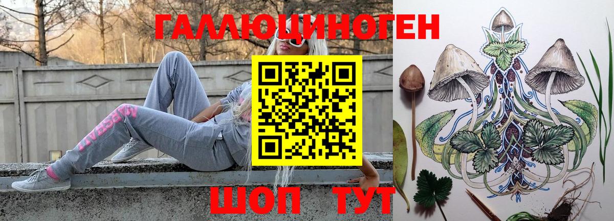 Псилоцибиновые грибы MAGIC MUSHROOMS Петропавловск-Камчатский